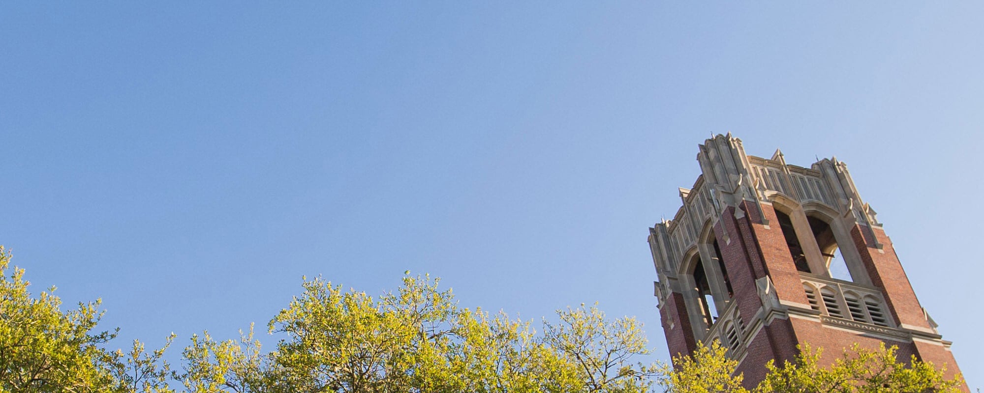 The top of Century Tower with trees in the foreground and sky in the background