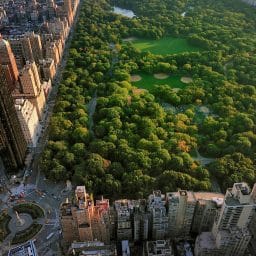 Aerial view of Central Park in New York City