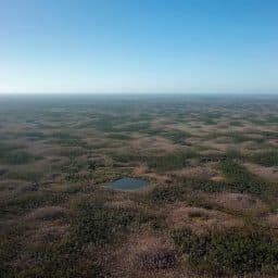 An aerial view of undeveloped land in Florida extending to the horizon