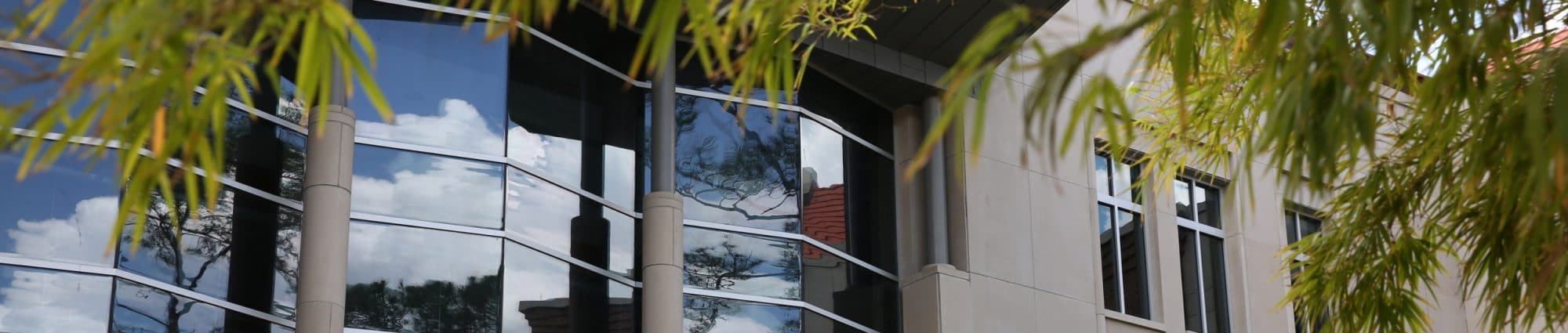 The north-facing exterior windows of Hough Hall