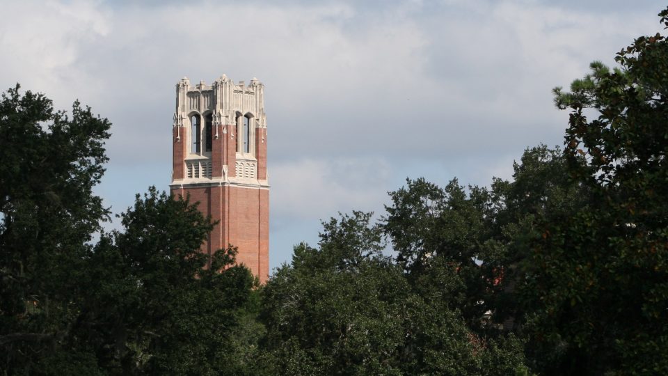 UF's Century Tower as it appears above the trees