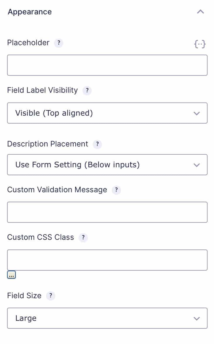 Gravity Forms Appearance Field Settings