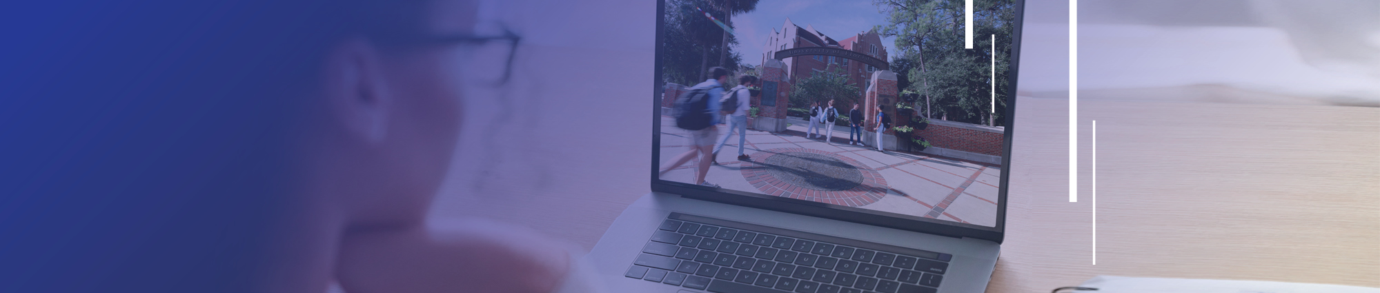Banner background of someone looking at a laptop