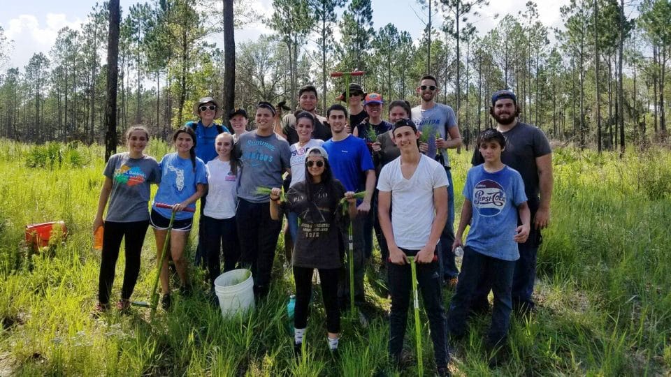 Entrepreneurship students planting trees