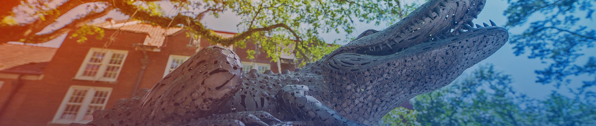 Gator Ubiquity statue with Bryan Hall and the sky in the background