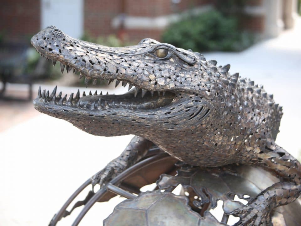 The Gator Ubiquity Statue by Heavener Hall