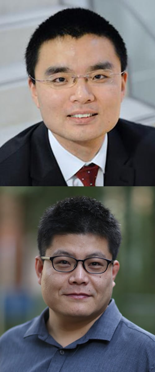 Tao Li and Baolian Wang
