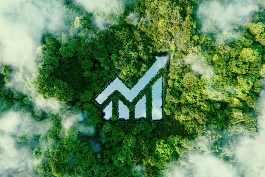 A lake in the shape of a rising graph in the middle of untouched nature symbolizing the growing interest in ecology and nature conservation.