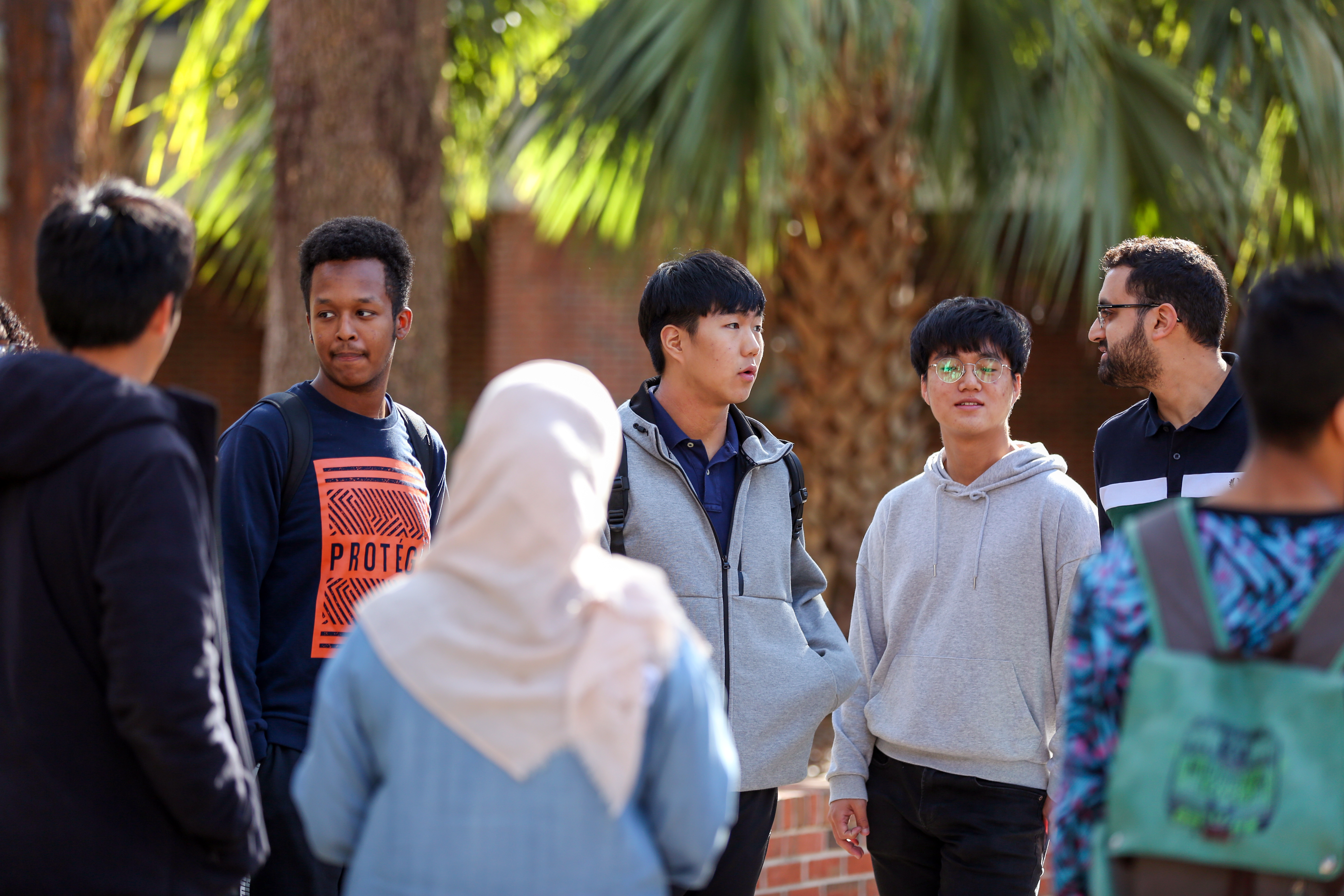 A diverse group of students stands in conversation outside among palm trees on campus.