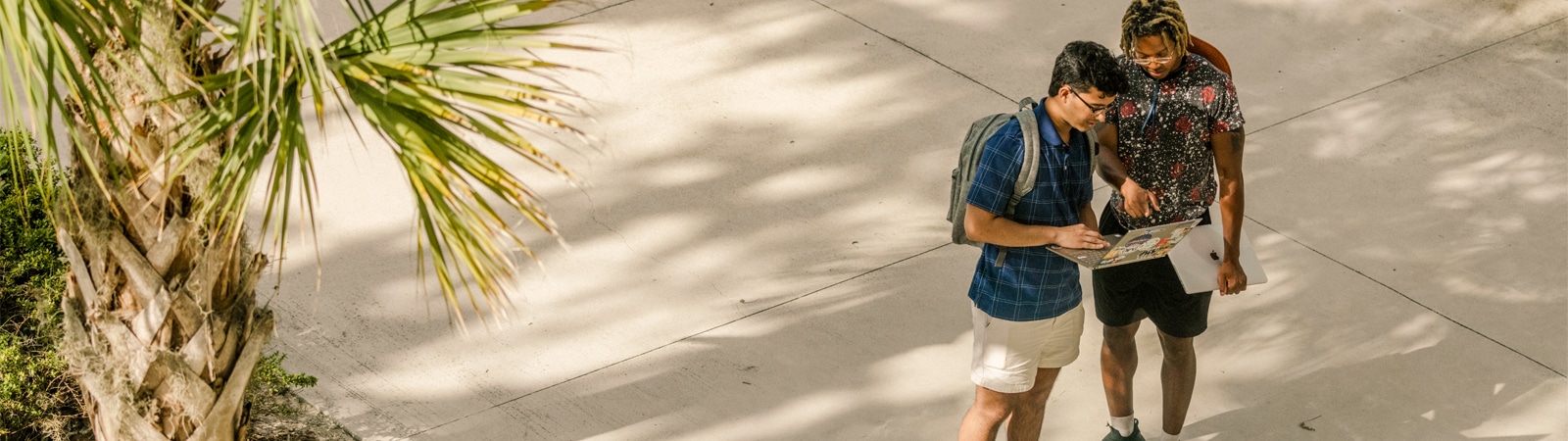 Two graduate students standing outside under a palm tree, reviewing course information on a laptop.