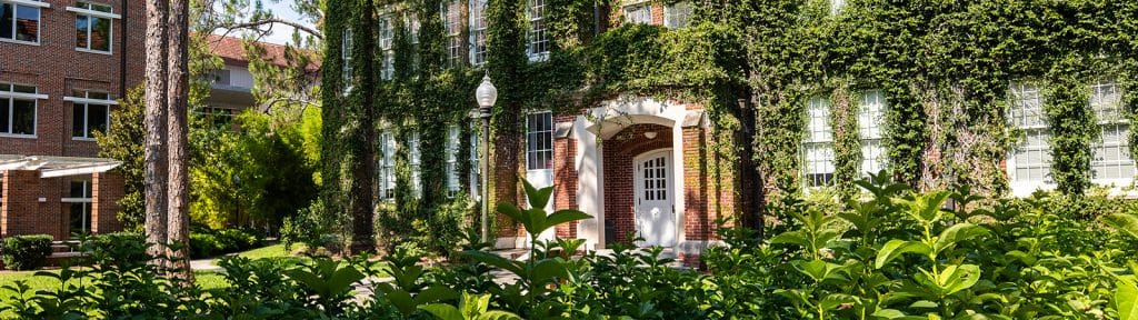 Bryan Hall on UF campus covered in green ivy. 