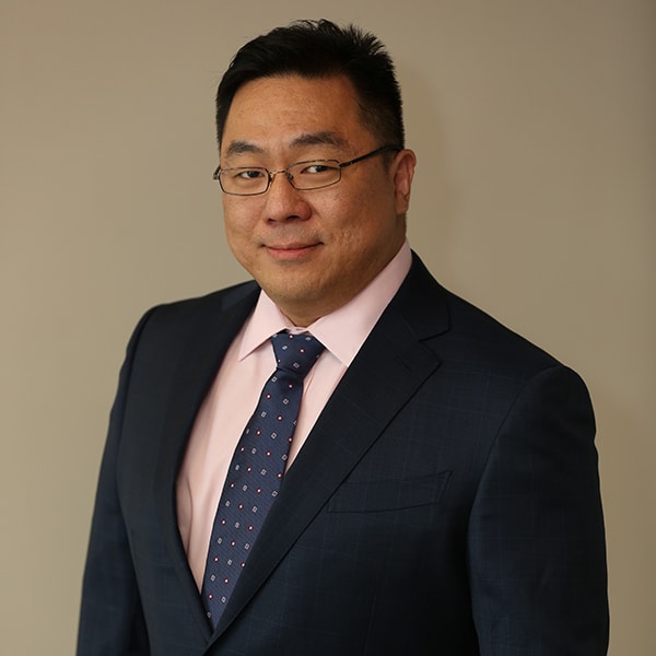 Stein Tan