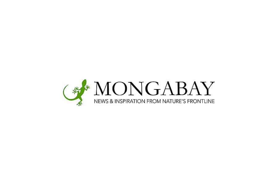 Mongabay