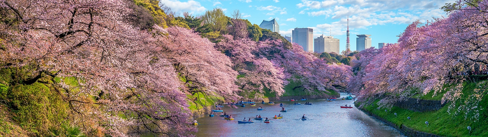 Tokyo, Japan. 