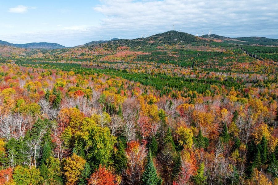 Forested, rolling hills displaying the changing colors of autumn with energy generating windmills on the horizon.