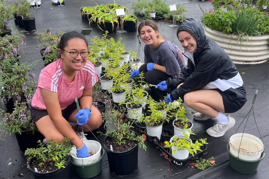 Three young women crouching as they work with potted plants.