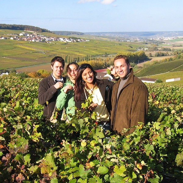 Students in France visit a vineyard with rolling hills and farmland in the background